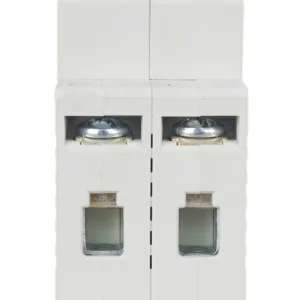 MCB IEK KARAT 60M 2P 16A 6kA Type C