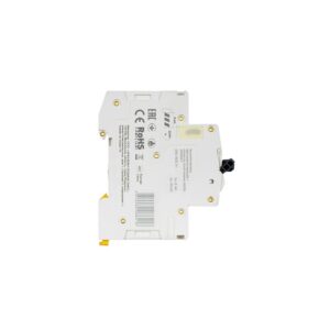 MCB IEK ARMAT M06N 2P 1A 6kA Type C