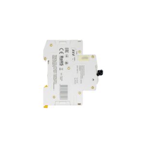 MCB IEK ARMAT M06N 2P 2A 6kA Type C