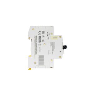 MCB IEK ARMAT M06N 2P 4A 6kA Type C