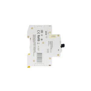 MCB IEK ARMAT M10N 2P 10A 6kA Type C
