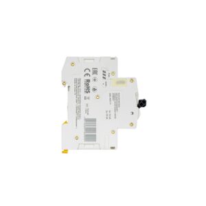 MCB IEK ARMAT M10N 2P 16A 6kA Type C