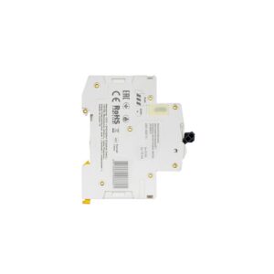 MCB IEK ARMAT M06N 2P 10A 6kA Type C